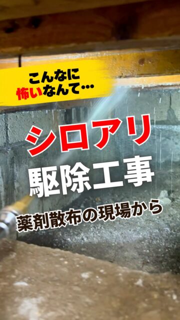 ＼シロアリ駆除の現場から／

シロアリ被害に遭ったらまずは専門家による駆除が重要！
例えば目に見えている羽アリやシロアリを
殺虫剤などで退治したとしても、根本的な解決にはなりません。

シロアリの住処となりやすい、床下の状況を確認することが大切です。
あんなに小さな羽アリやシロアリも、
住宅の木部を食べてボロボロにしてしまう、とっても怖い存在。

被害が進んで修繕が必要なほどになると
駆除費用だけでなく、もちろん修繕費用までかかってしまいます。

「もっと早く確認すればよかった・・・」
そうならないためにも、シロアリ被害のサインを見落とさないように！

・家の周りで羽アリを見た。
・基礎や外壁部分に、茶色い道筋のようなものがある。
・床がフカフカする。
・庭のウッドデッキや木部がスカスカ、ボロボロになっている。

これらは代表的なシロアリのサインです。
気になることがあったら、早めに専門家に状況確認をしてもらいましょう。

気になることがなくても、築5年以上経っていて一度も点検したことないお家は
一度床下の様子を確認しておくと安心です。
新築時の防蟻効果はもう切れているかもしれませんよ。
＝＝＝＝＝＝＝＝＝＝＝＝＝＝＝＝＝
住環境計画
🏠お家を守る専門店
📍群馬県沼田市中町1125
TEL：0278−25-9119
HP：www.jukankyo-keikaku.co.jp
＝＝＝＝＝＝＝＝＝＝＝＝＝＝＝＝＝