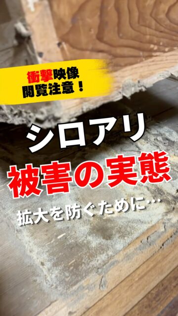 ＼⚠️閲覧注意⚠️シロアリ被害の実態／

築数十年の住宅のシロアリ被害の様子です。
まさにシロアリが住処として木部の食害を拡大していますね。

もうこここまできたら、床を張り替える必要もあります。
こうなる前に日頃からの点検や予防が大切です！
＝＝＝＝＝＝＝＝＝＝＝＝＝＝＝＝＝
住環境計画
🏠お家を守る専門店
📍群馬県沼田市中町1125
TEL：0278−25-9119
HP：www.jukankyo-keikaku.co.jp
＝＝＝＝＝＝＝＝＝＝＝＝＝＝＝＝＝