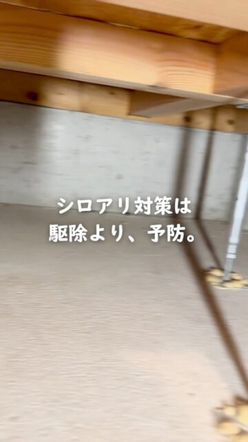 シロアリ対策、
被害が出たら駆除すればいいと思っていませんか？

シロアリ被害が進んでしまうと、
必要になるのは「駆除」だけとは限りません。

被害を受けた木部の状態によっては、
修繕が必要になることもあります。

そうなれば、費用も手間も大きくなりがち。

だから住環境計画では、
被害が出る前の「予防」をおすすめしています。

普段見えない床下だからこそ、
何か起きてからではなく、何も起きないように備えておく。

家を長く守るためにも、
シロアリ対策は「駆除」だけでなく「予防」という視点で考えてみてください。

もっと詳しく知りたい方は、プロフィールからご覧いただけます。

＝＝＝＝＝＝＝＝＝＝＝＝＝＝＝＝＝
住環境計画
🏠シロアリ予防・駆除どちらも対応
初回床下点検無料！

📍群馬県沼田市中町1125
TEL：0278−25-9119
HP：www.jukankyo-keikaku.co.jp
＝＝＝＝＝＝＝＝＝＝＝＝＝＝＝＝＝