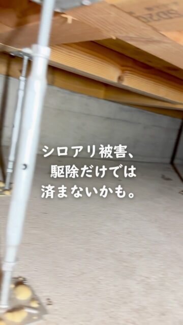 シロアリ対策、
被害が出たら駆除すればいいと思っていませんか？

シロアリ被害が進んでしまうと、
必要になるのは「駆除」だけとは限りません。

被害を受けた木部の状態によっては、
修繕が必要になることもあります。

そうなれば、費用も手間も大きくなりがち。

だから住環境計画では、
被害が出る前の「予防」をおすすめしています。

普段見えない床下だからこそ、
何か起きてからではなく、何も起きないように備えておく。

家を長く守るためにも、
シロアリ対策は「駆除」だけでなく「予防」という視点で考えてみてください。

もっと詳しく知りたい方は、プロフィールからご覧いただけます。

＝＝＝＝＝＝＝＝＝＝＝＝＝＝＝＝＝
住環境計画
🏠シロアリ予防・駆除どちらも対応
初回床下点検無料！

📍群馬県沼田市中町1125
TEL：0278−25-9119
HP：www.jukankyo-keikaku.co.jp
＝＝＝＝＝＝＝＝＝＝＝＝＝＝＝＝＝