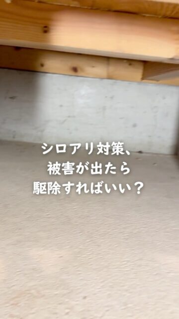 シロアリ対策、
被害が出たら駆除すればいいと思っていませんか？

シロアリ被害が進んでしまうと、
必要になるのは「駆除」だけとは限りません。

被害を受けた木部の状態によっては、
修繕が必要になることもあります。

そうなれば、費用も手間も大きくなりがち。

だから住環境計画では、
被害が出る前の「予防」をおすすめしています。

普段見えない床下だからこそ、
何か起きてからではなく、何も起きないように備えておく。

家を長く守るためにも、
シロアリ対策は「駆除」だけでなく「予防」という視点で考えてみてください。

もっと詳しく知りたい方は、プロフィールからご覧いただけます。

＝＝＝＝＝＝＝＝＝＝＝＝＝＝＝＝＝
住環境計画
🏠シロアリ予防・駆除どちらも対応
初回床下点検無料！

📍群馬県沼田市中町1125
TEL：0278−25-9119
HP：www.jukankyo-keikaku.co.jp
＝＝＝＝＝＝＝＝＝＝＝＝＝＝＝＝＝