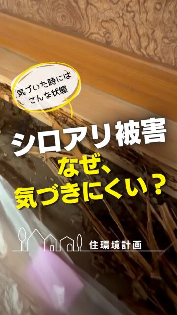 シロアリ被害は、
なぜ気づきにくいのでしょうか？

シロアリは光や乾燥が苦手。

そのため、床下や木の中など、
普段の生活では見えにくい場所で活動します。

「シロアリなんて見たことないから大丈夫」
そう思っていても、見えないところで
被害が進んでいることもあります。

だからこそ、被害が見つかってからではなく、
早めに床下の状態を確認しておくことが大切です。

見えない場所だからこそ、後回しにしない。

シロアリや床下の状態が気になる方は、
住環境計画までお気軽にご相談ください。

詳しくはプロフィールのリンクから、
住環境計画のホームページをご覧ください。

＝＝＝＝＝＝＝＝＝＝＝＝＝＝＝＝＝
住環境計画
🏠シロアリ予防・駆除どちらも対応
初回床下点検無料！

📍群馬県沼田市中町1125
TEL：0278−25-9119
HP：www.jukankyo-keikaku.co.jp
＝＝＝＝＝＝＝＝＝＝＝＝＝＝＝＝＝