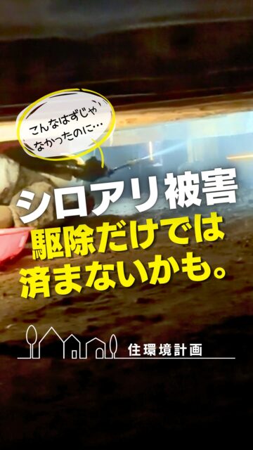 シロアリ対策、
被害が出たら駆除すればいいと思っていませんか？

シロアリ被害が進んでしまうと、
必要になるのは「駆除」だけとは限りません。

被害を受けた木部の状態によっては、
修繕が必要になることもあります。

そうなれば、費用も手間も大きくなりがち。

だから住環境計画では、
被害が出る前の「予防」をおすすめしています。

普段見えない床下だからこそ、
何か起きてからではなく、何も起きないように備えておく。

家を長く守るためにも、
シロアリ対策は「駆除」だけでなく「予防」という視点で考えてみてください。

もっと詳しく知りたい方は、プロフィールからブログもご覧いただけます。

＝＝＝＝＝＝＝＝＝＝＝＝＝＝＝＝＝
住環境計画
🏠シロアリ予防・駆除どちらも対応
初回床下点検無料！

📍群馬県沼田市中町1125
TEL：0278−25-9119
HP：www.jukankyo-keikaku.co.jp
＝＝＝＝＝＝＝＝＝＝＝＝＝＝＝＝＝