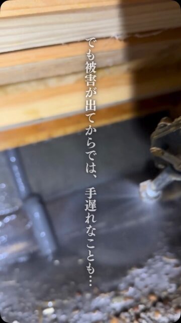 「まだシロアリも出てないのに、予防にお金をかける必要ある？」

そう思う方も多いかもしれません。

でも、シロアリ対策で本当に避けたいのは、
被害が出てから「駆除すること」だけではありません。

木材まで被害を受けてしまえば、
駆除に加えて修繕が必要になることもあります。

だからこそ、
何も起きていないうちに床下を確認して、
必要な予防をしておく。

被害が出てからお金をかけるより、
被害に遭わないために備えておく。

それが、住環境計画が
「駆除より予防」を大切にしている理由です。

特に新築から5年前後は、
一度床下の状態を確認するタイミング。

「うちは大丈夫かな？」と思ったら、
まずは床下を確認してみませんか？

初回の床下点検は無料です。

詳しくはプロフィールから。

＝＝＝＝＝＝＝＝＝＝＝＝＝＝＝＝＝
住環境計画
🏠シロアリ予防・駆除どちらも対応
初回床下点検無料！

📍群馬県沼田市中町1125
TEL：0278−25-9119
HP：www.jukankyo-keikaku.co.jp
＝＝＝＝＝＝＝＝＝＝＝＝＝＝＝＝＝